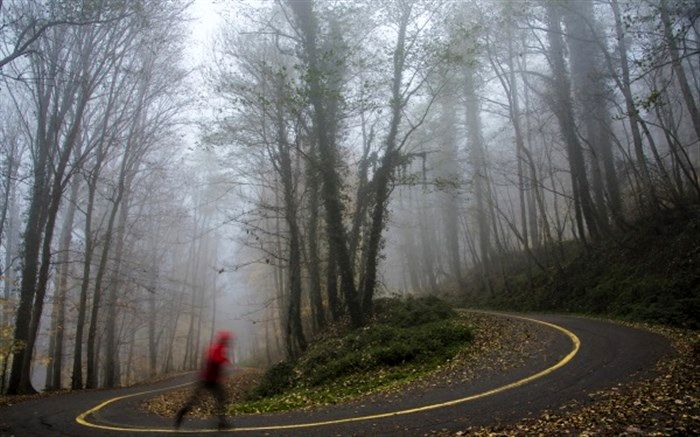 درخشش عکاسان ایرانی در دو جشنواره کشور هند