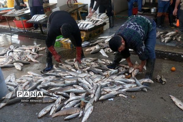 فصل ماهیگیری