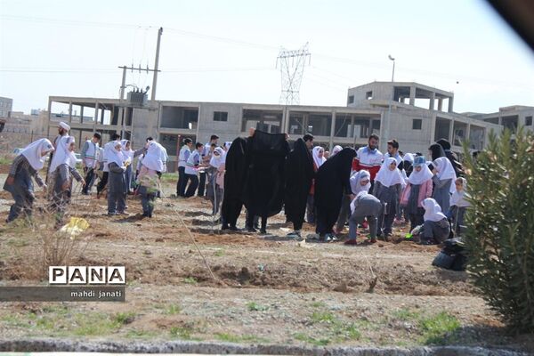 جشن درختکاری در استان قم