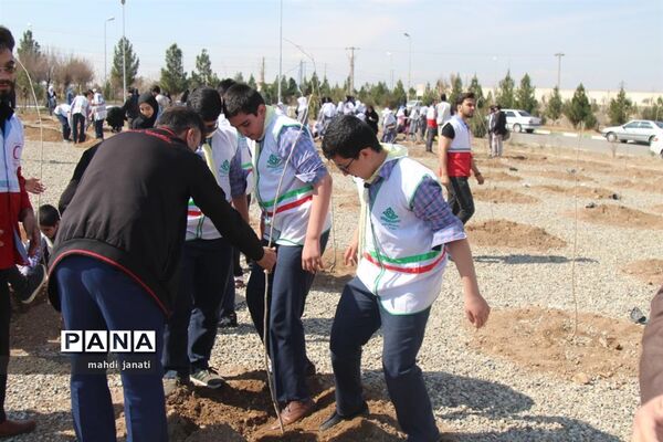جشن درختکاری در استان قم