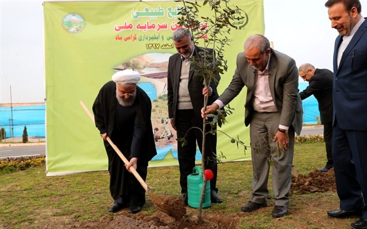 کاشت درخت توسط رئیس جمهوری در رشت + تصاویر