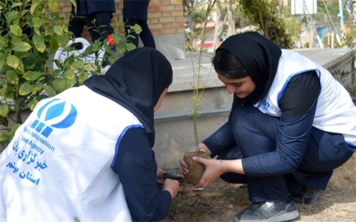 خبرنگاران پانا استان بوشهر نهال کاشتند