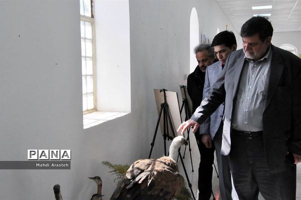 برگزاری کارگاه عملیاتی،آموزشی مدیریت جامع سوانح و بلایا در شهرستان بیرجند