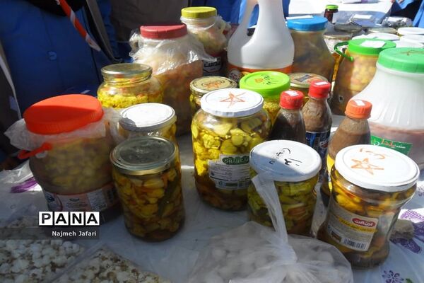 برپایی نمایشگاه و بازارچه کسب وکار دانش‌آموزی در زرین دشت