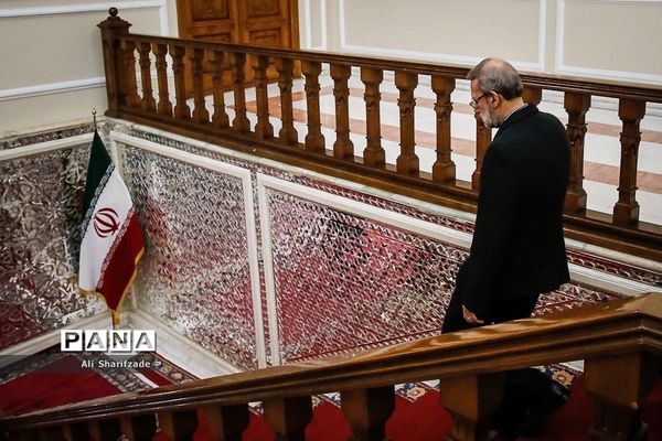 دیدار رئیس مجلس شورای اسلامی با نخست وزیر ارمنستان