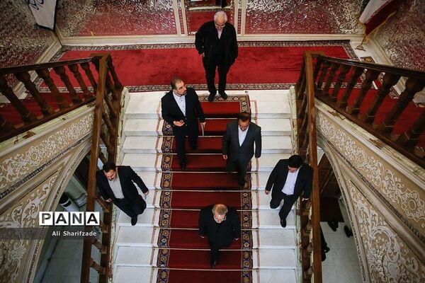 دیدار رئیس مجلس شورای اسلامی با نخست وزیر ارمنستان