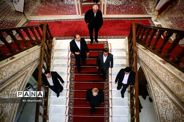 دیدار رئیس مجلس شورای اسلامی با نخست وزیر ارمنستان