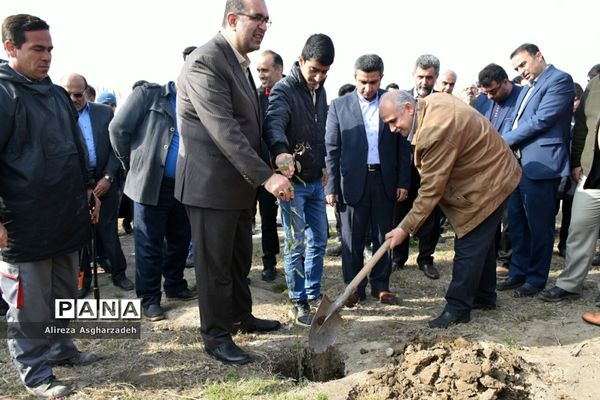 آیین درختکاری در بابلسر