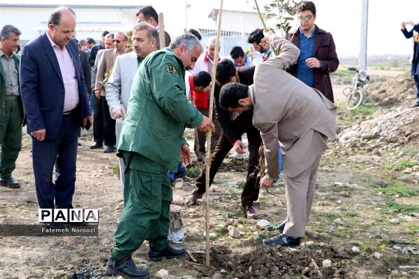حضور دانش‌آموزان پیشتاز جویبار در آیین درختکاری