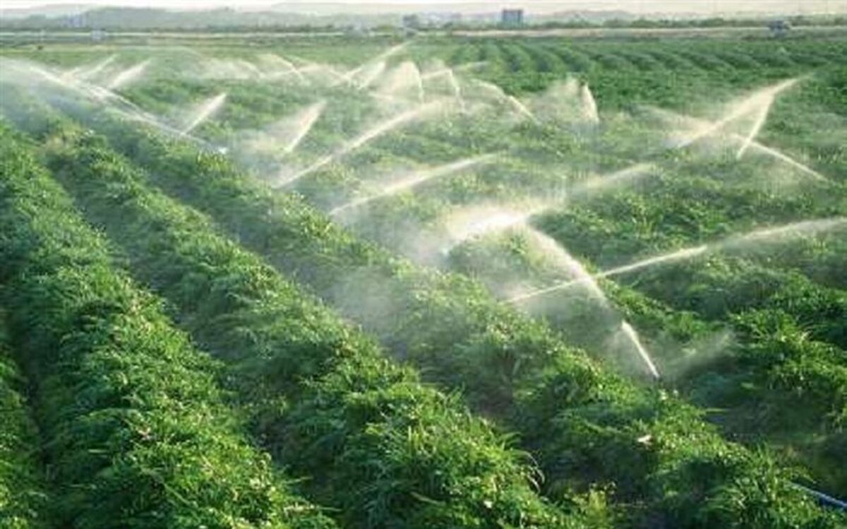 تجهیز 14.6 هزار هکتار زمین حوضه دریاچه ارومیه به آبیاری نوین