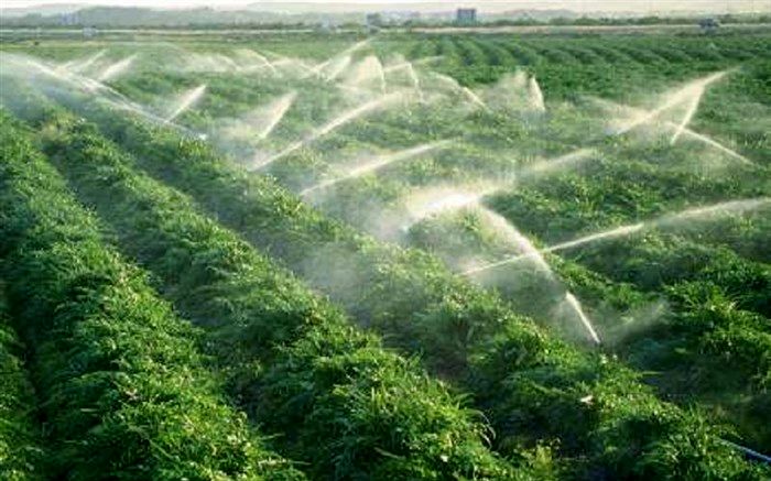 تجهیز 14.6 هزار هکتار زمین حوضه دریاچه ارومیه به آبیاری نوین