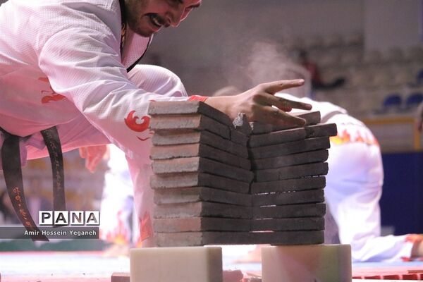 افتاحیه سومین دوره مسابقات جام ریاست فدراسیون جهانی تکواندو  در جزیره کیش