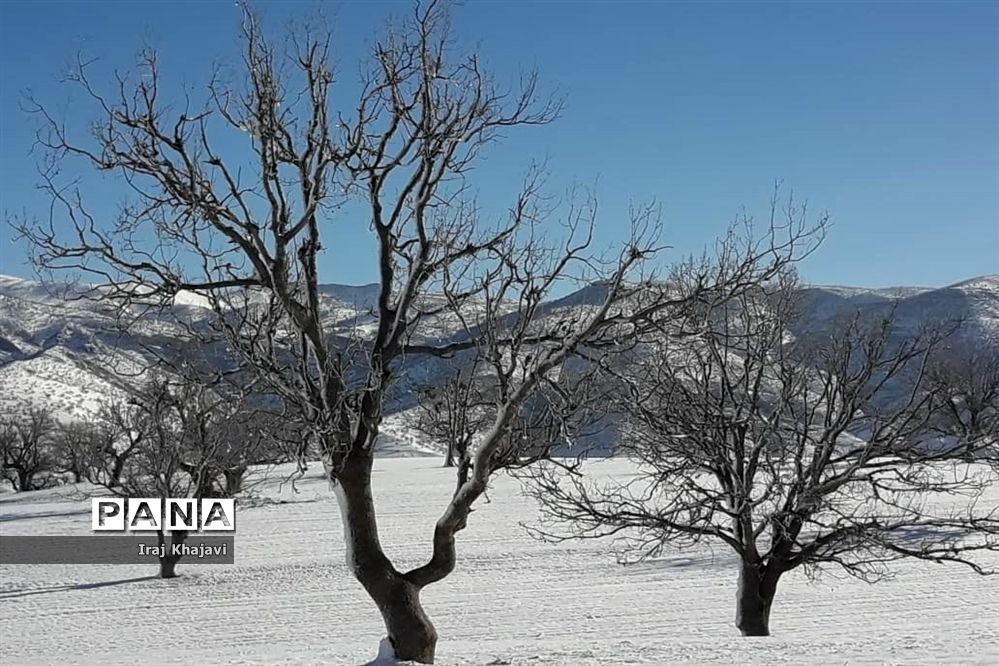 روستای سررگ از توابع شهرستان دهدز در خوزستان سپید پوش شد
