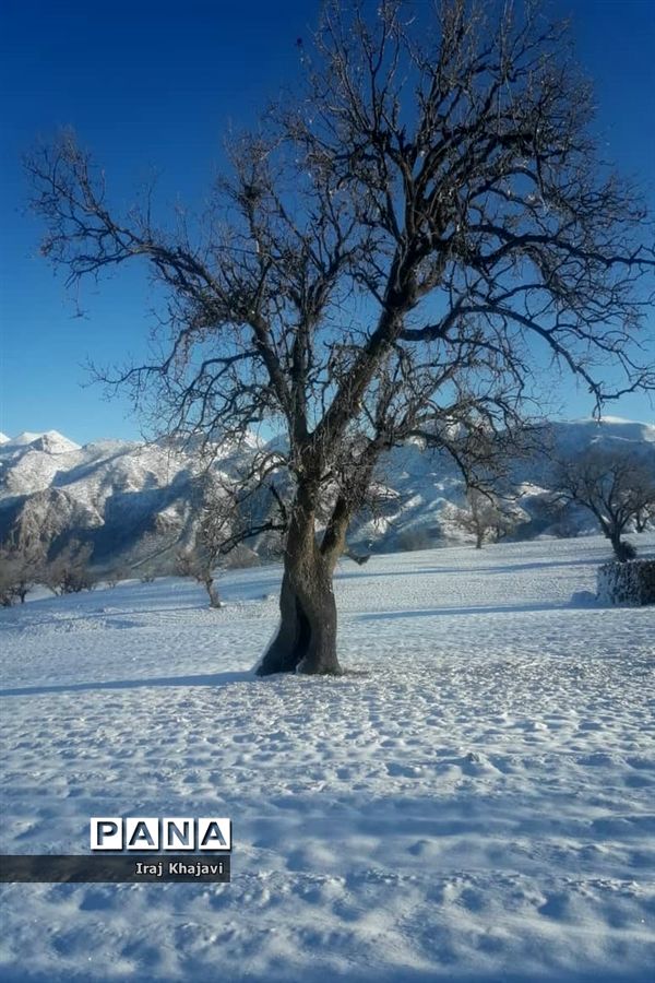 روستای سررگ از توابع شهرستان دهدز در خوزستان سپید پوش شد