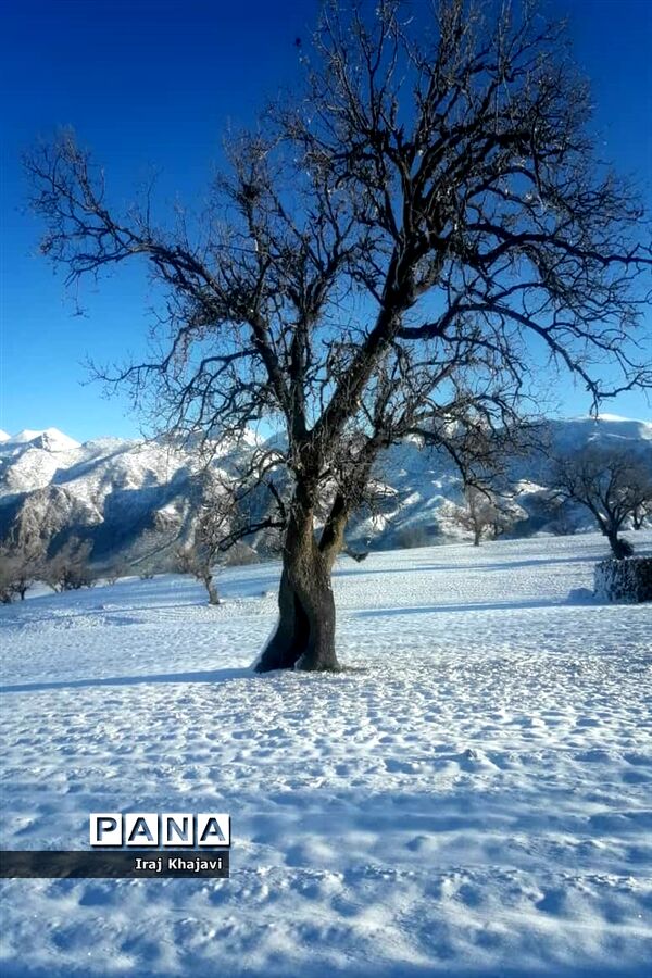 روستای سررگ از توابع شهرستان دهدز در خوزستان سپید پوش شد