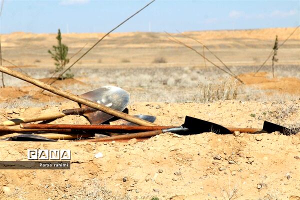 مراسم ویژه روز درختکاری در بوستان ثامن قم