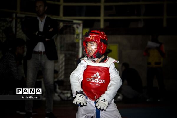 مسابقات تکواندو استان تهران