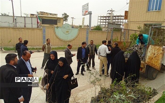 توزیع بیش از 1500 نهال درخت بین مدارس شادگان