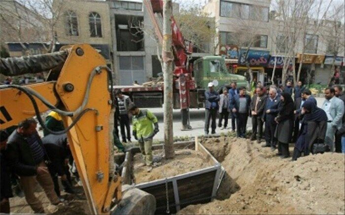 با دستور شهردار اصفهان، چنارهای 20 ساله به چهارباغ آمدند