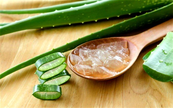 چگونه با آلوئه ورا لاغر شویم؟