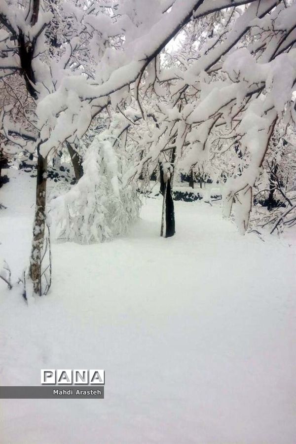 بارش اولین  برف در شهرستان های خراسان جنوبی