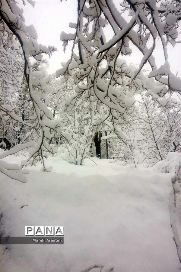 بارش اولین  برف در شهرستان های خراسان جنوبی