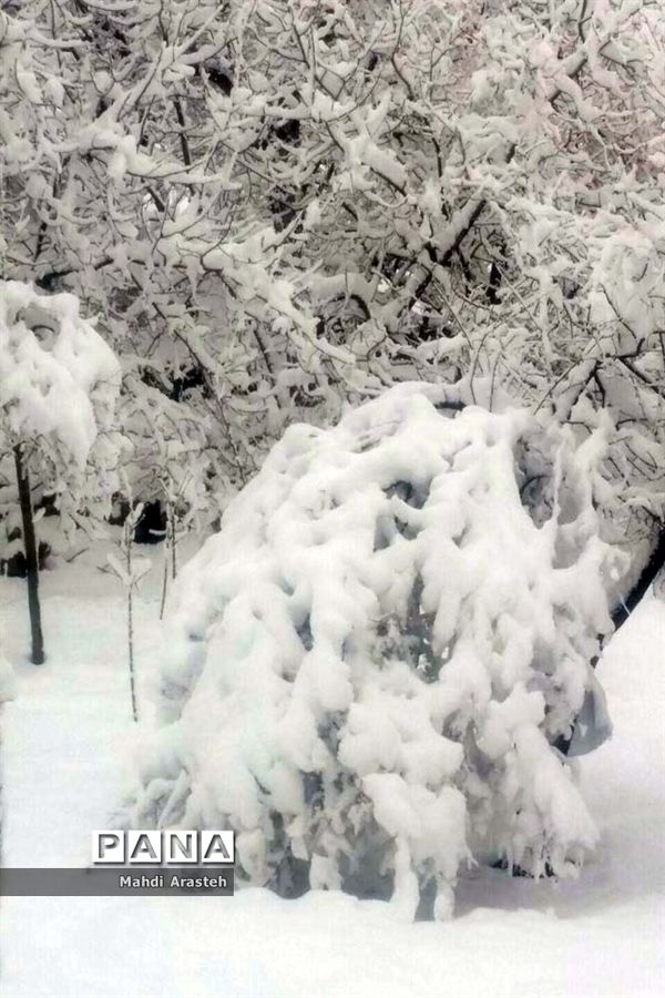 بارش اولین  برف در شهرستان های خراسان جنوبی