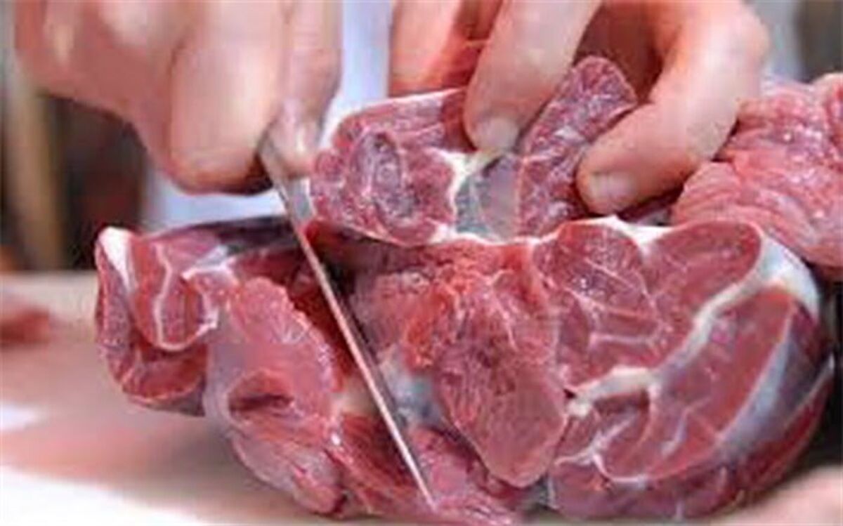 دستگیری دلال گوشت در نمایشگاه بهاره