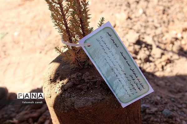 مراسم روز درختکاری