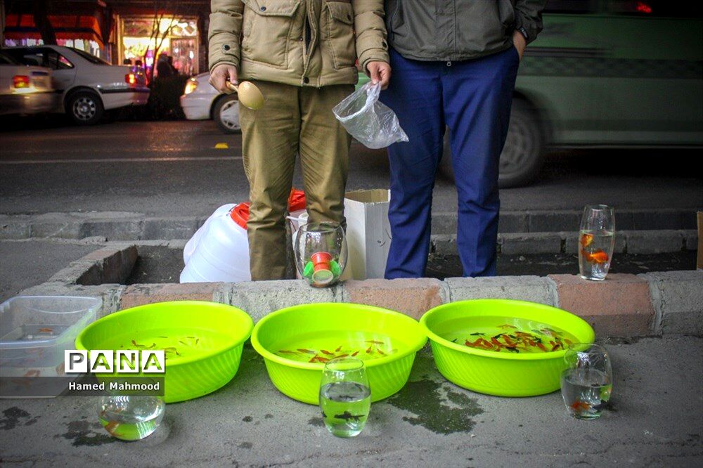 بازگیر، کارشناس محیط زیست: خرید و فروش موجودات زنده به زیستگاه آنها صدمه می‌زند