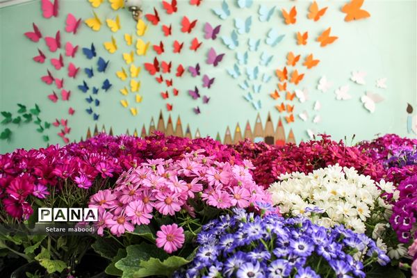 بازارچه خیریه موسسه خیریه دستان سبز همدلان الوند