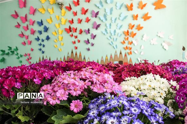 بازارچه خیریه موسسه خیریه دستان سبز همدلان الوند