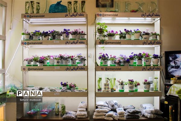 بازارچه خیریه موسسه خیریه دستان سبز همدلان الوند