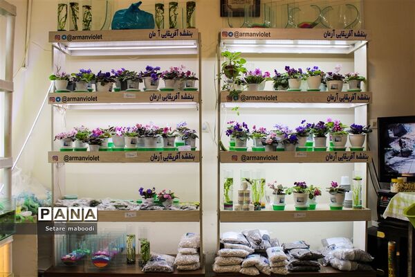 بازارچه خیریه موسسه خیریه دستان سبز همدلان الوند