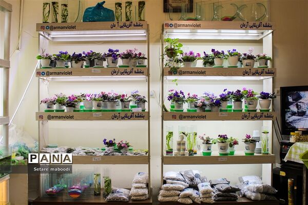 بازارچه خیریه موسسه خیریه دستان سبز همدلان الوند