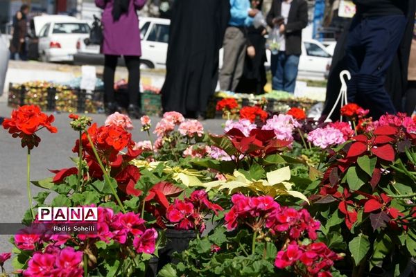 حال‌و‌هوای شهرقدس در روز‌های پایانی سال ۹۷