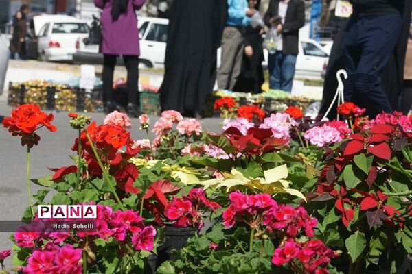 حال‌و‌هوای شهرقدس در روز‌های پایانی سال ۹۷