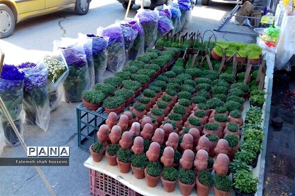 حال و هوای استقبال ازنوروز در شهرستان فیروزکوه