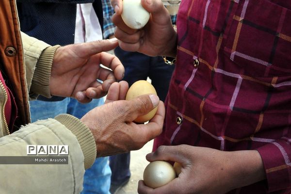 جشنواره بازی‌های بومی و محلی روستای ماژان شهرستان خوسف