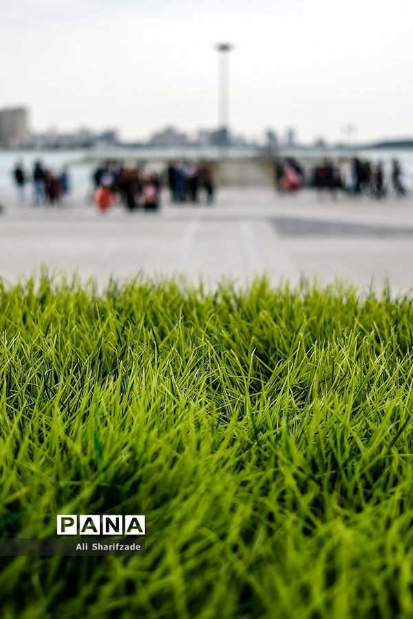 دریاچه شهدای خلیج فارس