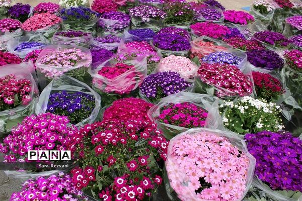 آخرین پنجشنبه سال 97 در آستان مقدس امامزاده عقیل (ع) اسلامشهر