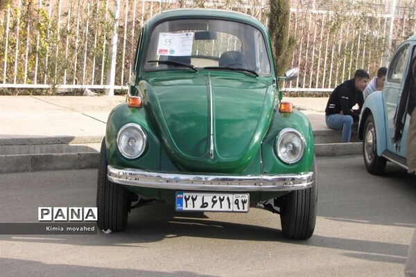 نمایشگاه خودروهای کلاسیک در شیراز