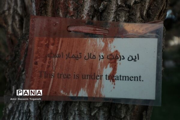 باغ گیاه شناسی مشهد