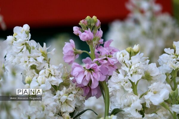 باغ گیاه شناسی مشهد