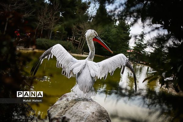 باغ پرندگان تهران در نوروز 98