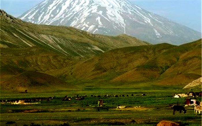 تامین آب ۲۹۵ هزار هکتار از اراضی کشاورزی خوزستان