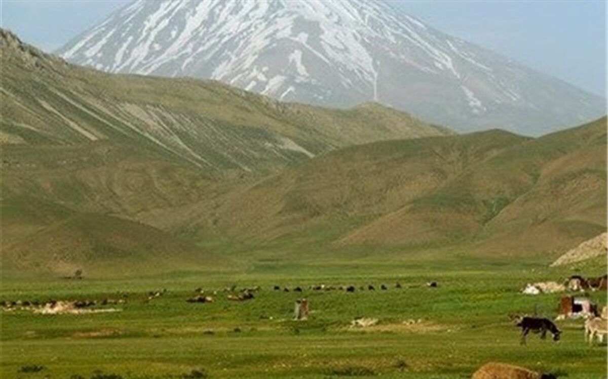 تامین آب ۲۹۵ هزار هکتار از اراضی کشاورزی خوزستان