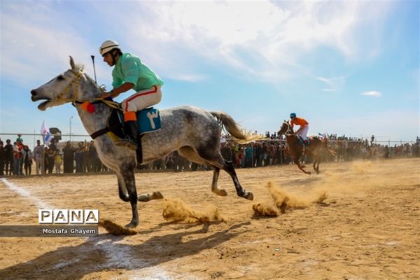 برگزاری مسابقات کورس اسب دوانی براق اروند  به میزبانی منطقه آزاد اروند