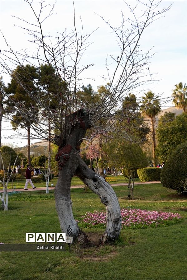 باغ ارم در نوروز 98