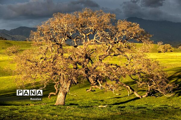شروع فصل بهار در نیم کره شمالی